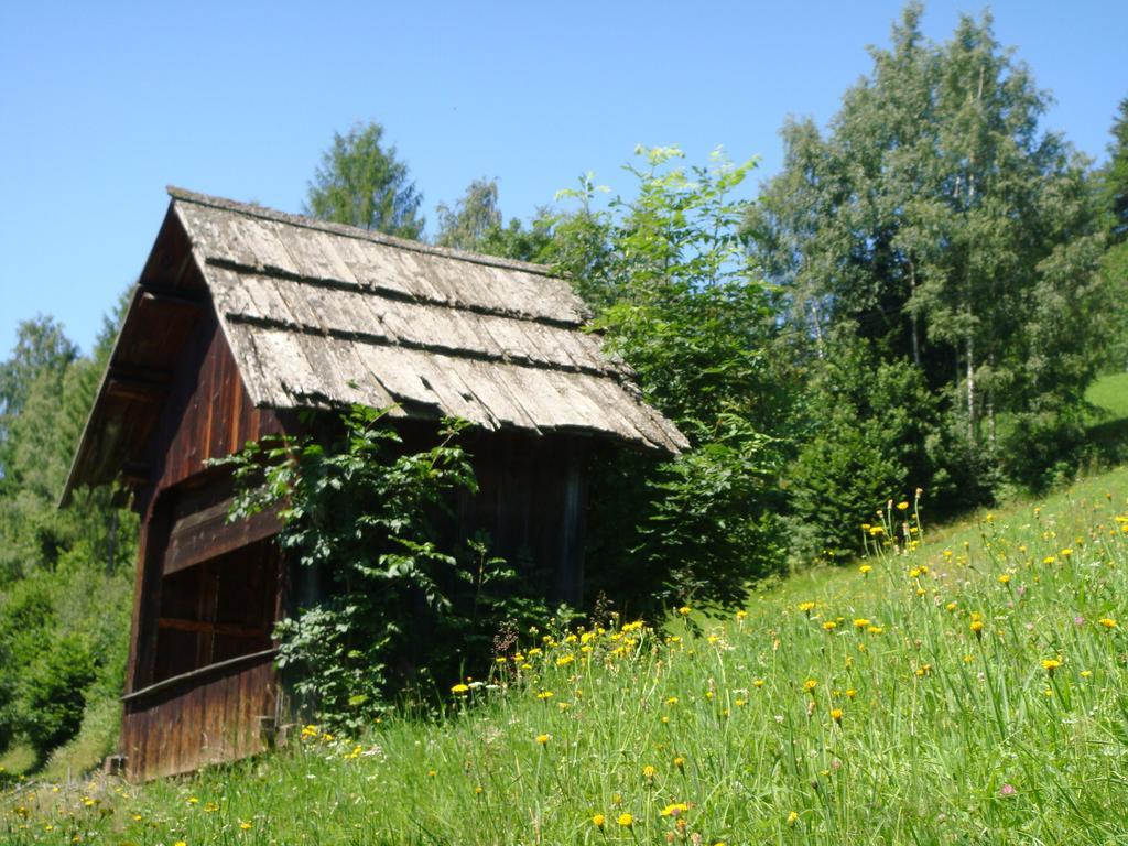 Ferienwohnung Lahnerhof Arriach エクステリア 写真